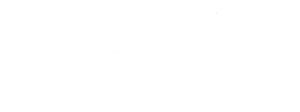 logo_light